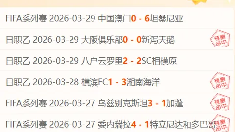巴甲维多利亚主场预测：大乐透期号专家质合推荐分析